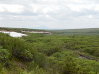 Mining Image