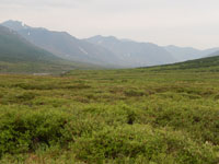 Mining Image