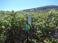Mining Image