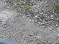 Mining Image