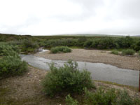 Mining Image