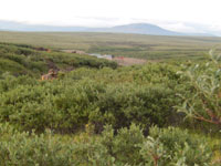 Mining Image