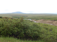 Mining Image